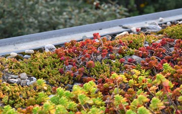 the cost of Newton St Petrock green roof installation