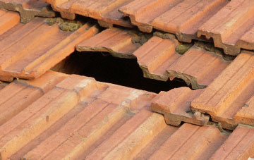 roof repair Newton St Petrock, Devon