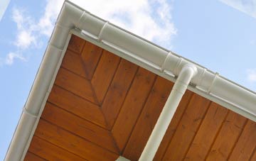 Newton St Petrock soffit types